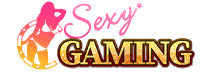 Sexy Gaming